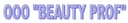 ООО "BEAUTY PROF" logo
